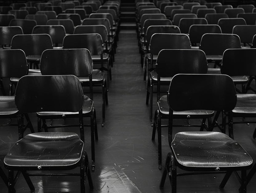 Empty Chairs In The Auditorium 1