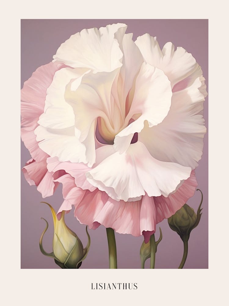 Floral Illustration Lisianthus 1 Poster