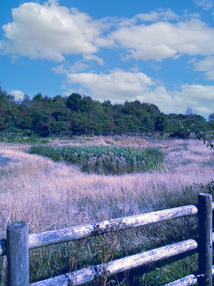Field By Hadley Gate
