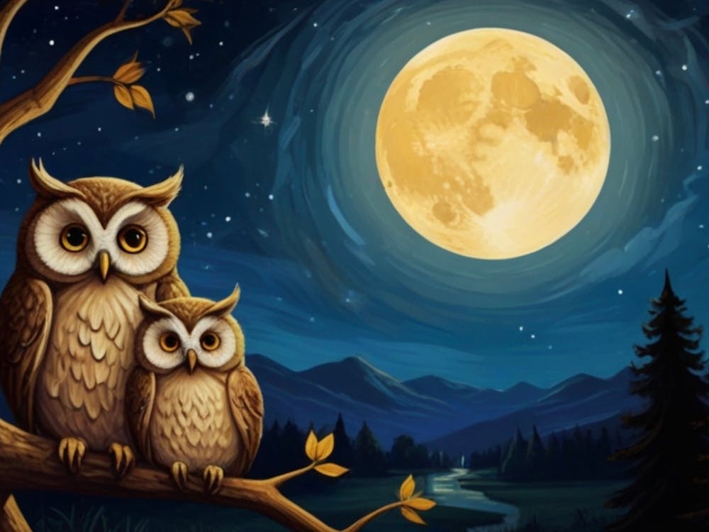 Owls under the moonlight