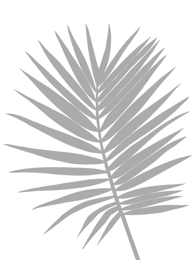 Grey Palm Leaf Large