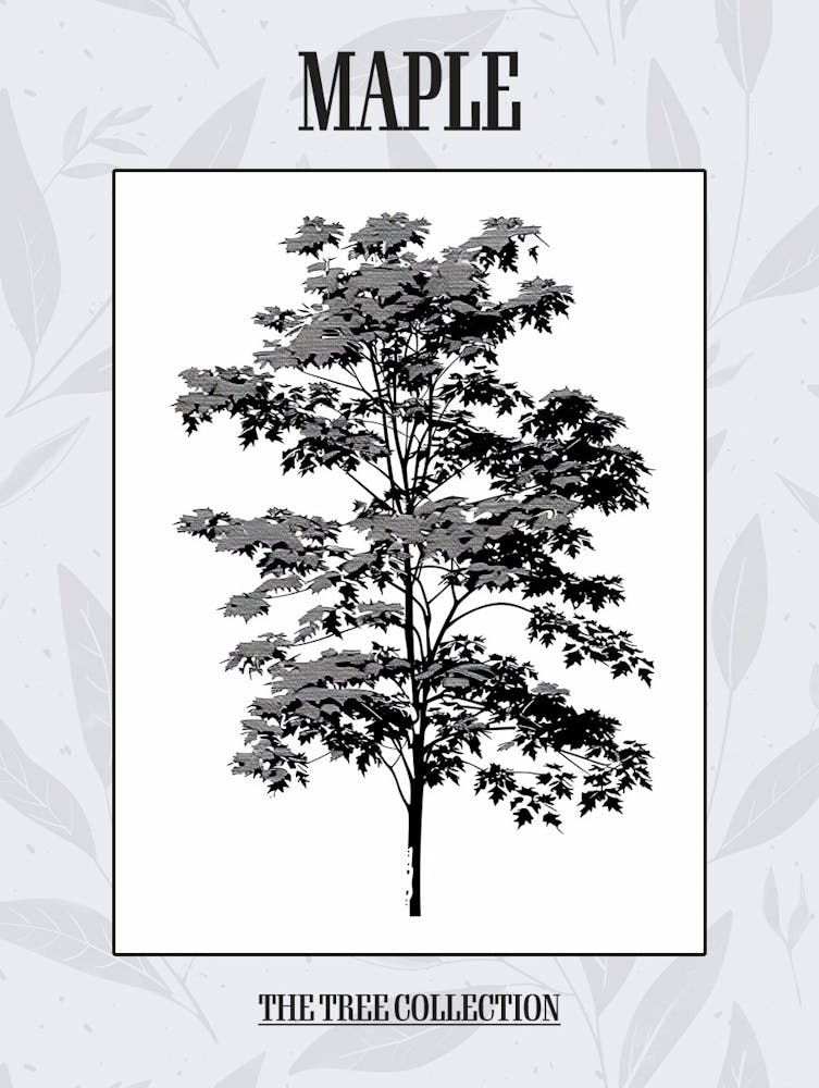 Maple Tree Simple Geometric Nature Stencil 11 Poster