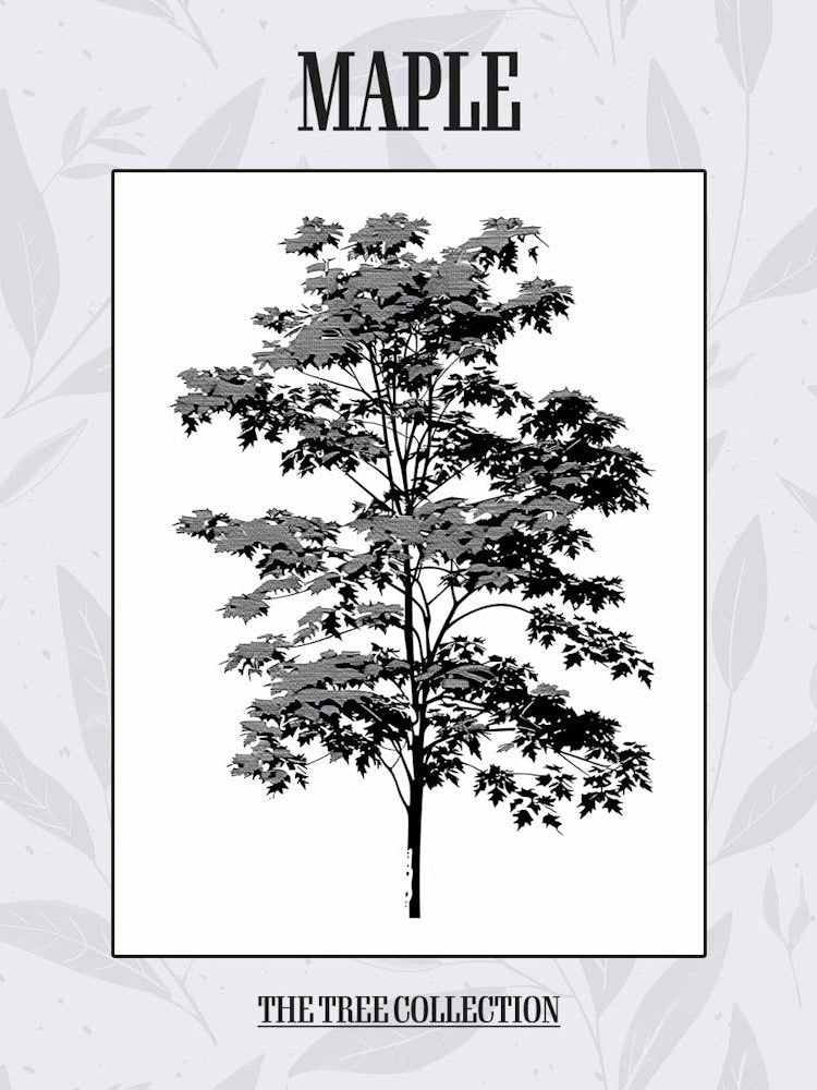 Maple Tree Simple Geometric Nature Stencil 11 Poster