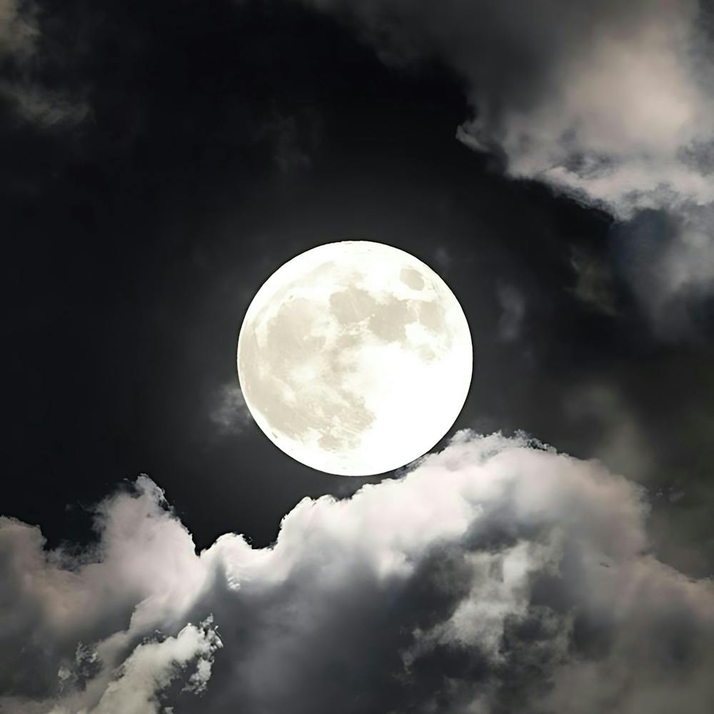 Full Moon In The Sky 7