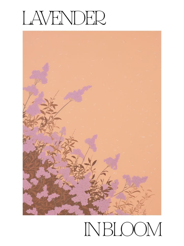 Lavender In Bloom Flowers Bold Illustration 2
