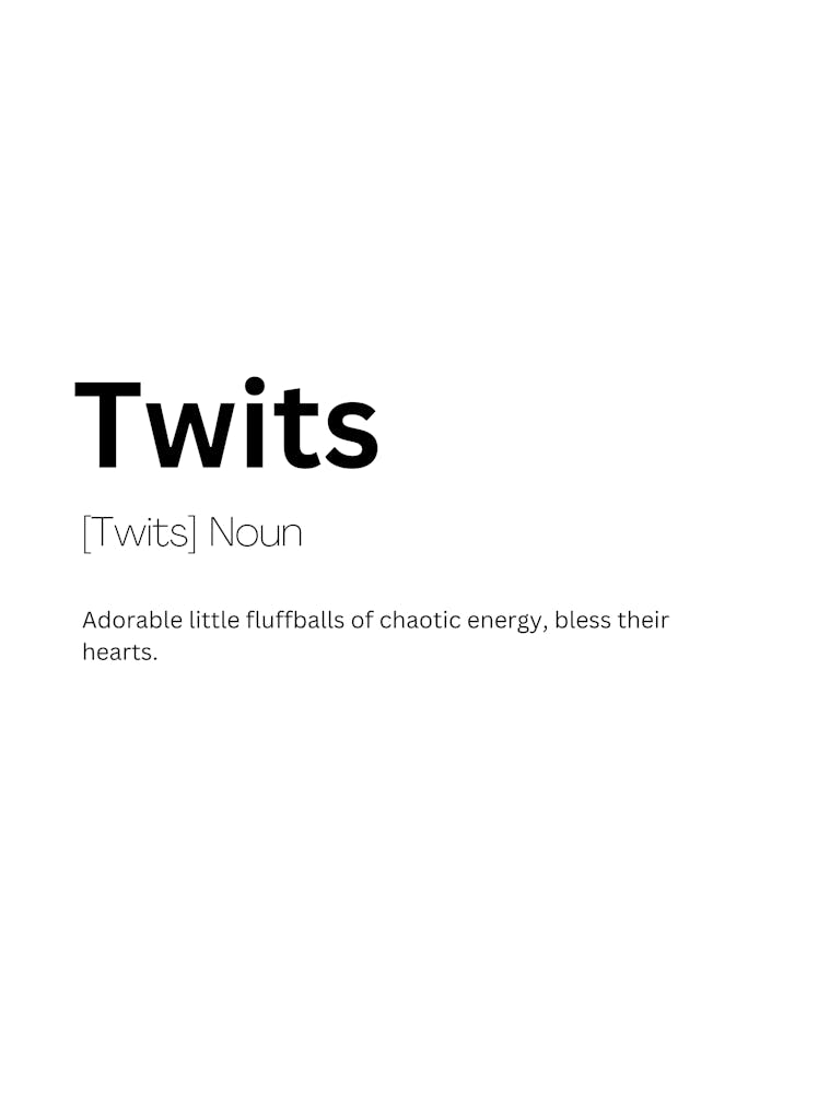 Twits Definition Meaning