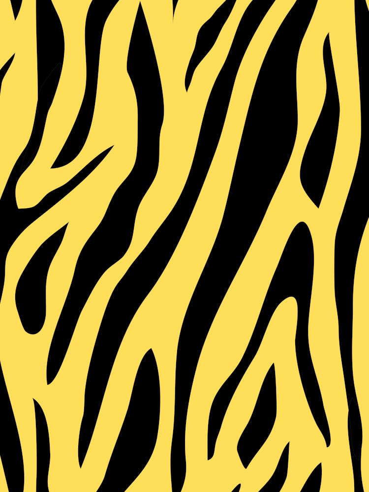 Zebra Stripes 3