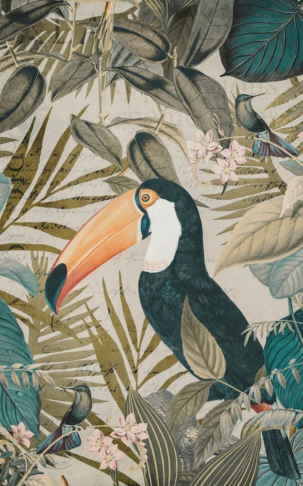 Jungle Toucan