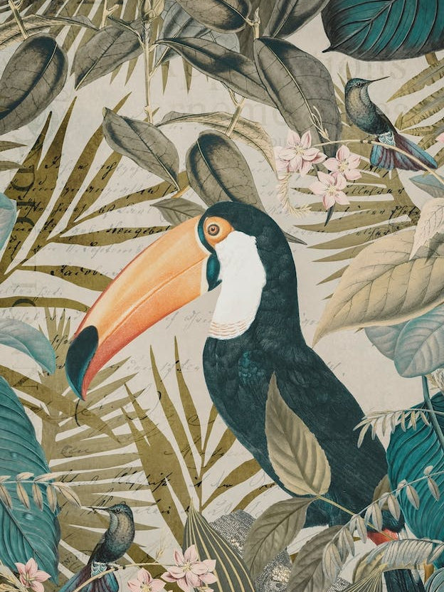 Jungle Toucan