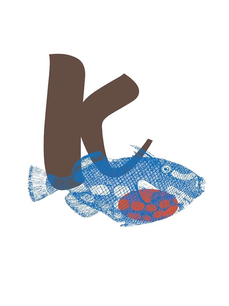 K