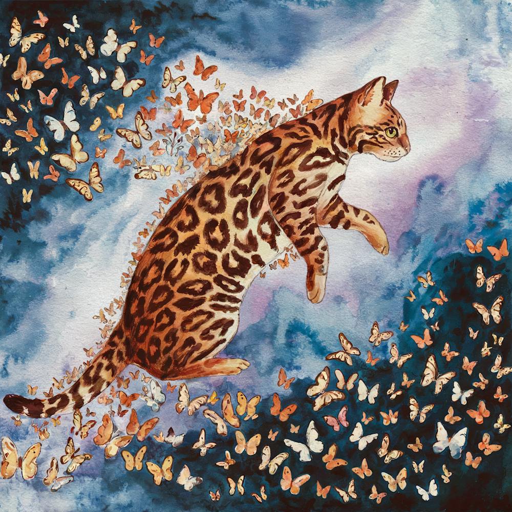 Bengal Cat