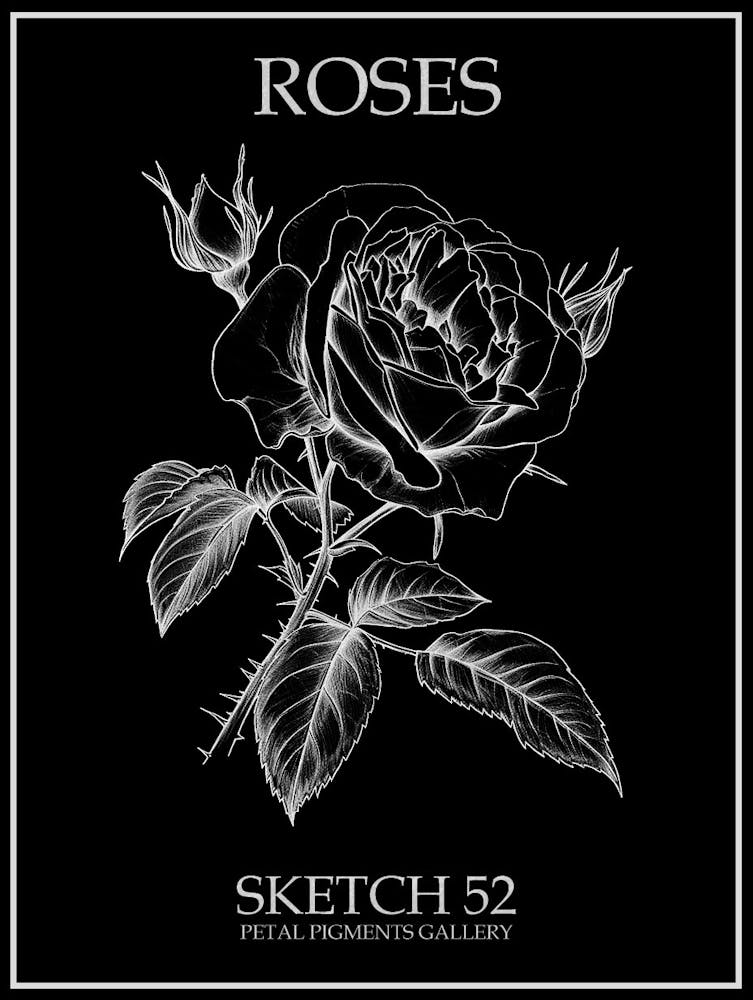 Roses Sketch 52 Poster Inverted
