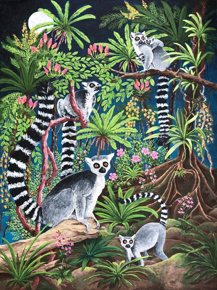 Madagascar: Ringtails And Orchids