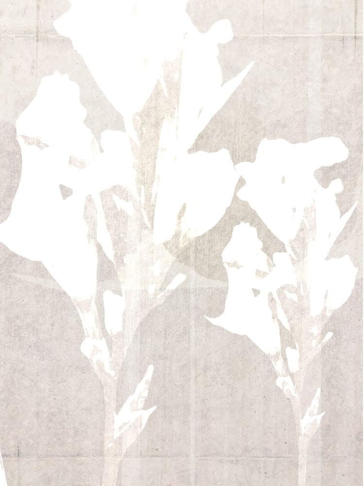 Beige Lilly Art