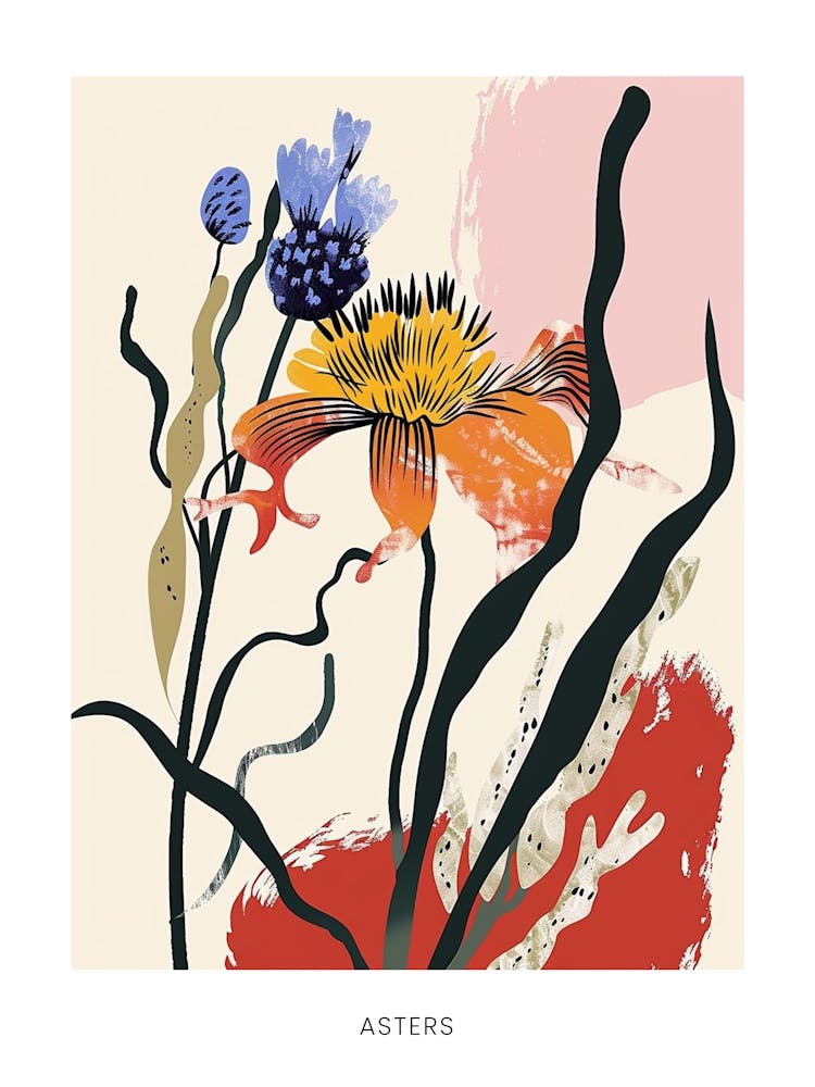 Colourful Flower Illustration Poster Asters 9
