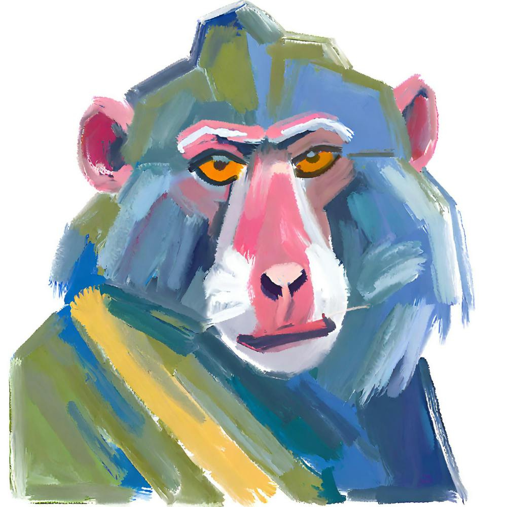 Baboon 03