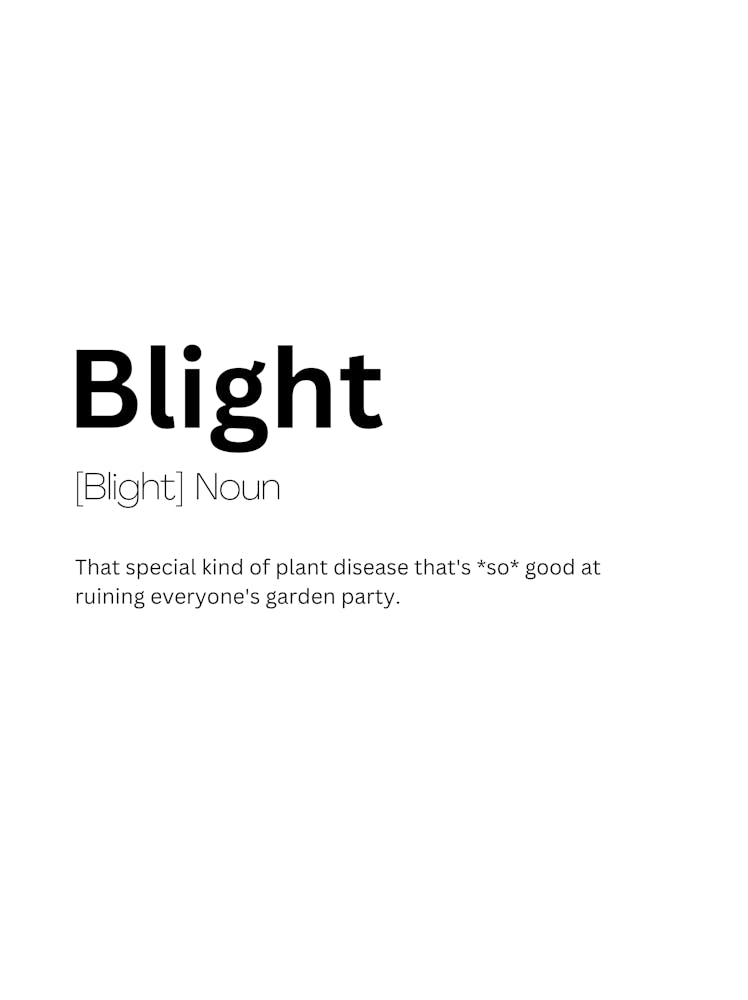 Blight Definition Meaning