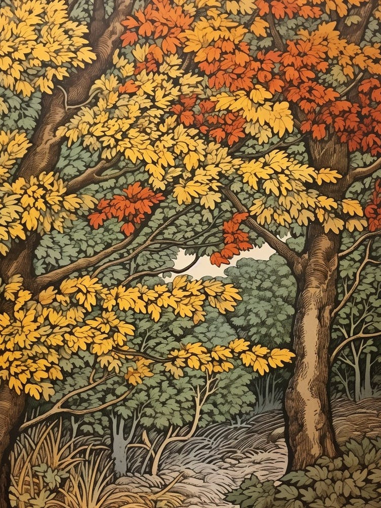 Alder 2 Vintage Autumn Tree Print 