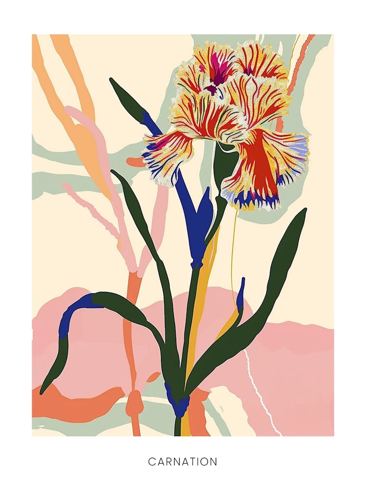 Colourful Flower Illustration Poster Carnation 3