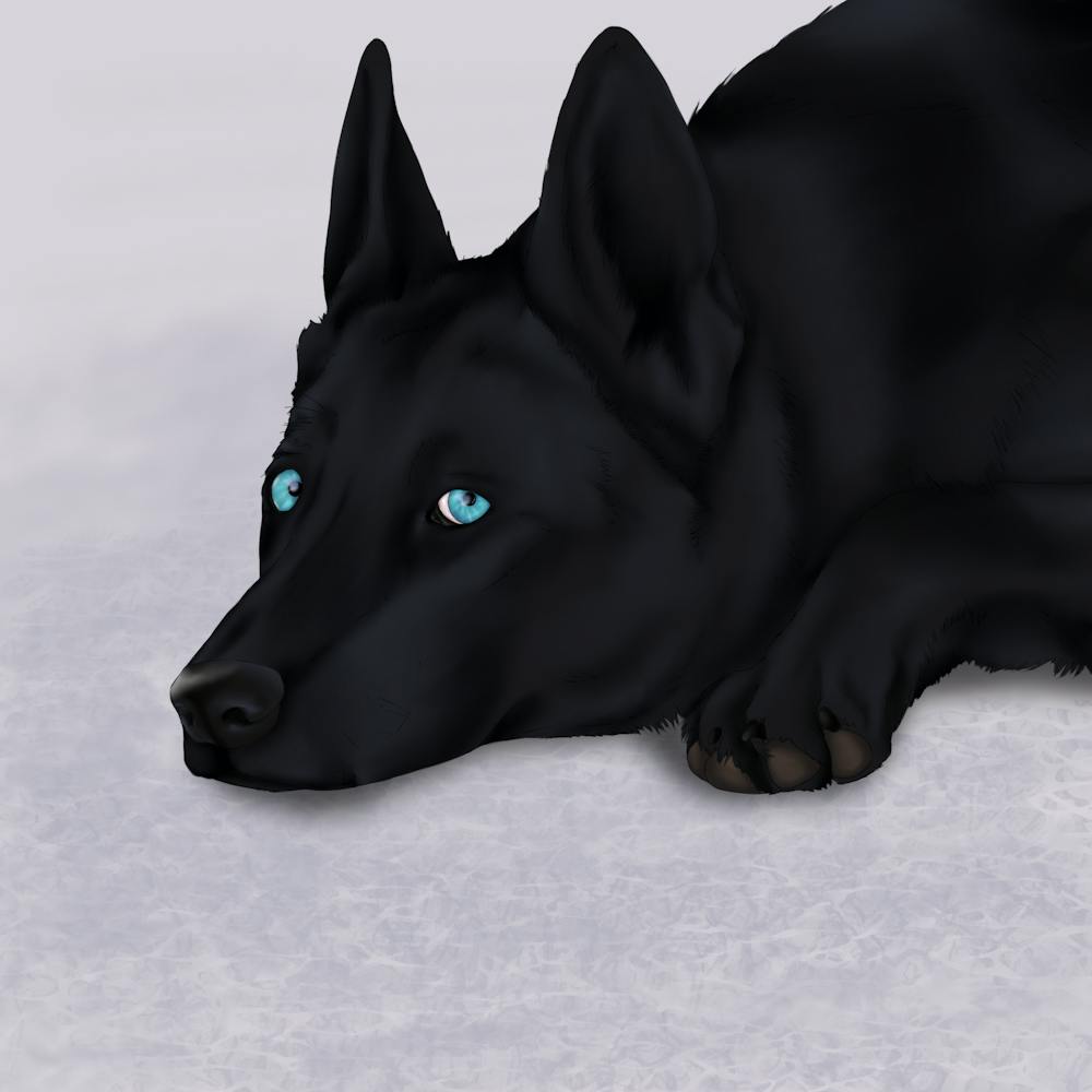 Nyx the GS