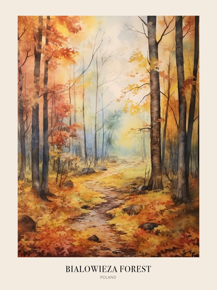 Autumn Forest Landscape Bialowieza Forest Poland 1 Poster
