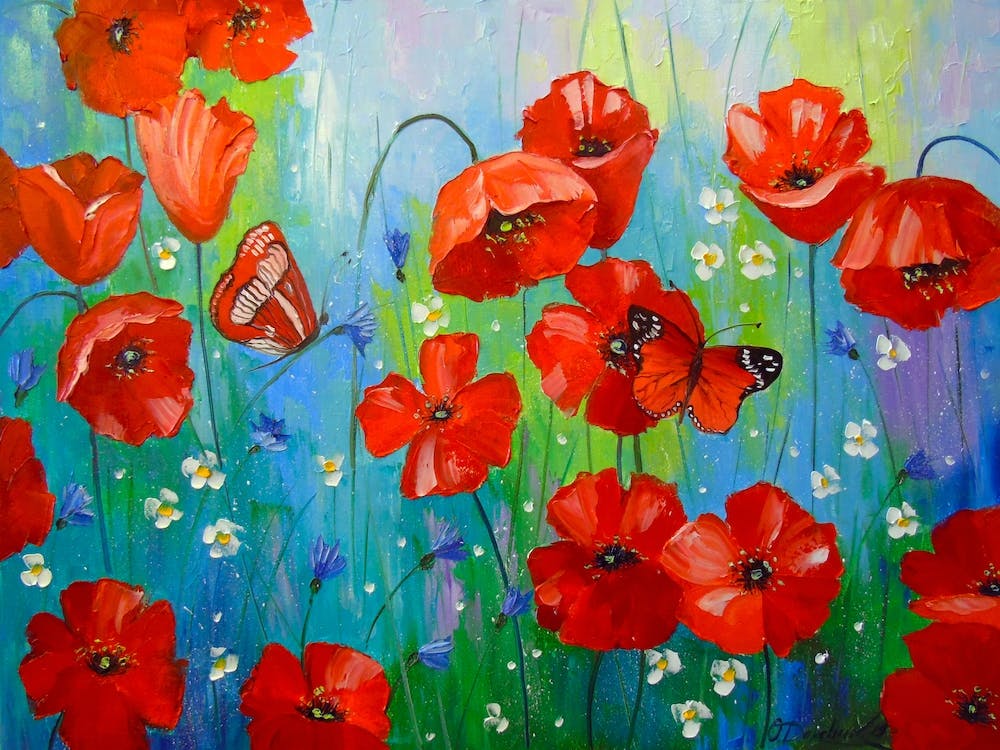Mohnblumen und Schmetterlinge