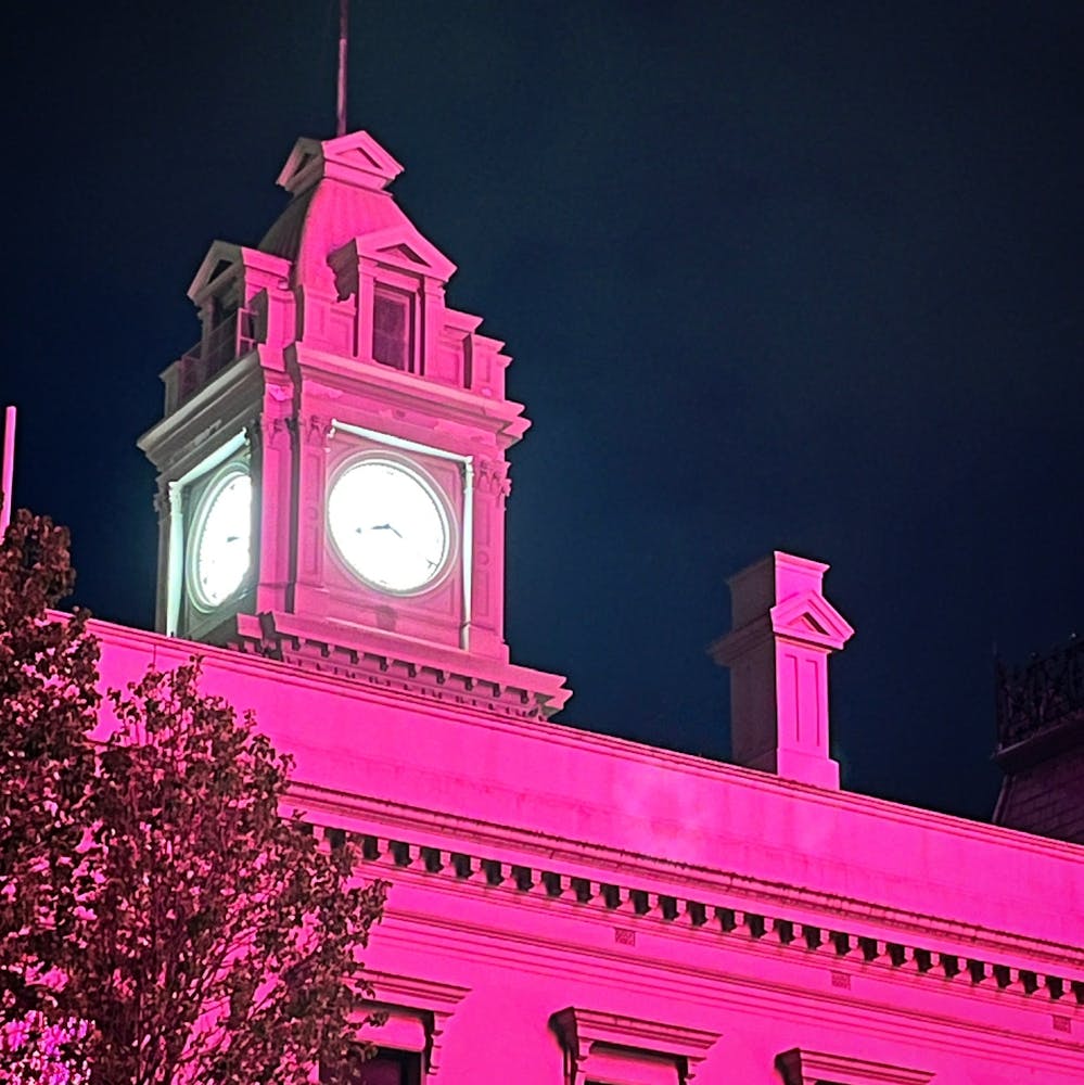 PAINTING in pink light no.2, 2024