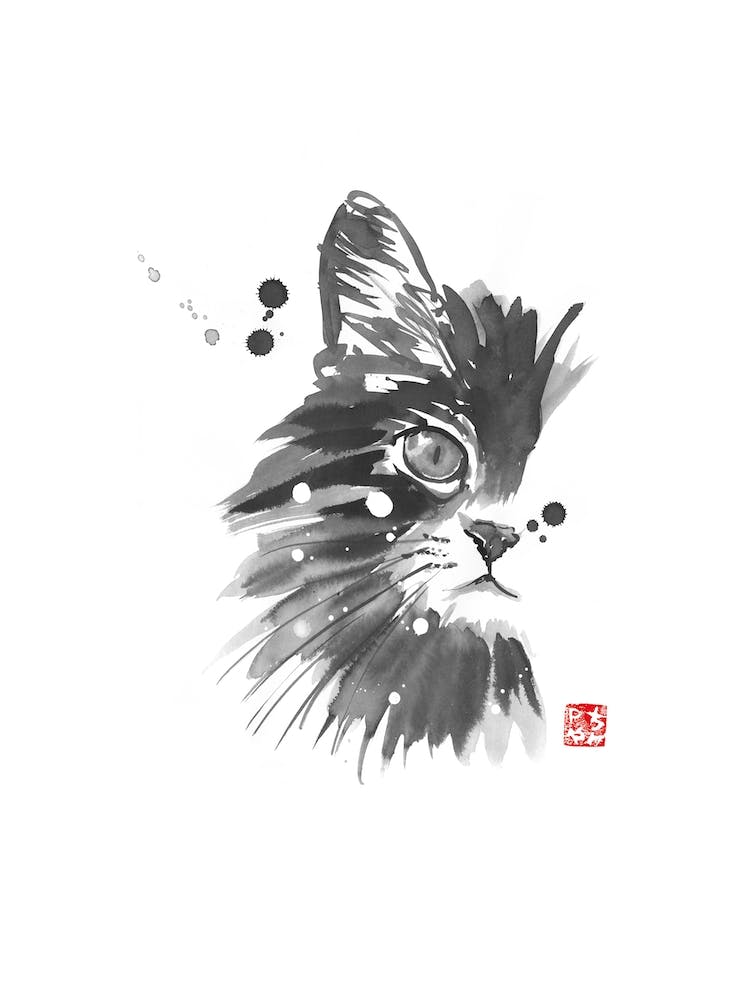 Half Cat