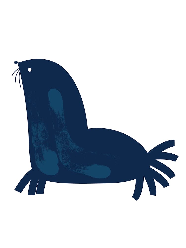 Seal