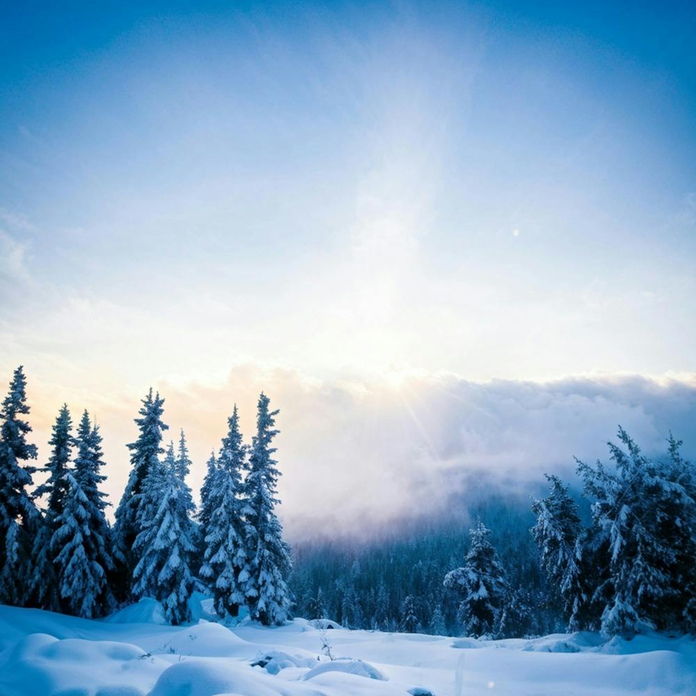 Abstract Landscape Showcasing The Battle Between Winters Chill And The New Years Promise Sun Rays (2)