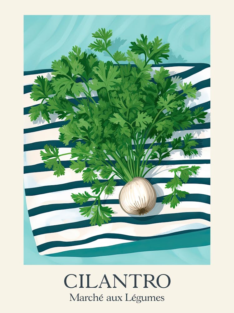 Marche Aux Legumes Cilantro Summer Illustration 7