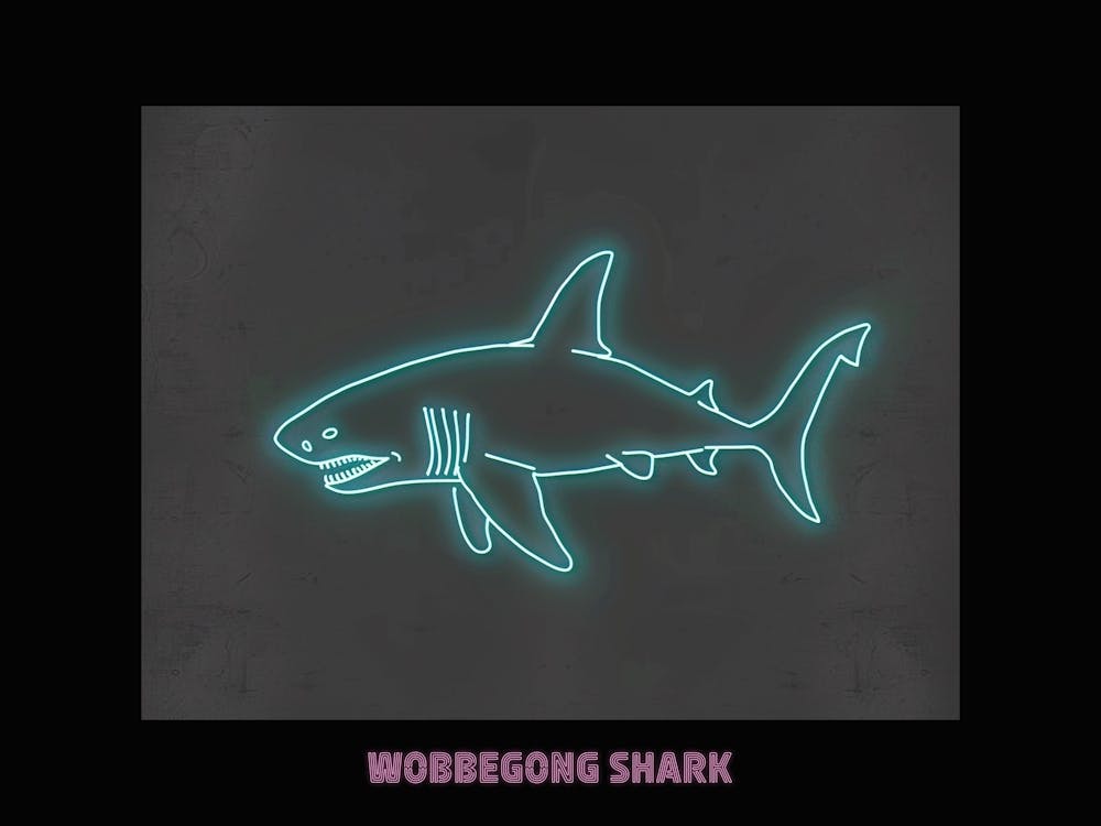 Neon Pink Aqua Wobbegong Shark Poster 7