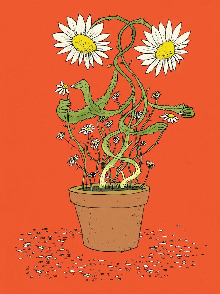 Forget Me Forget Me Not By Izhar Cohen