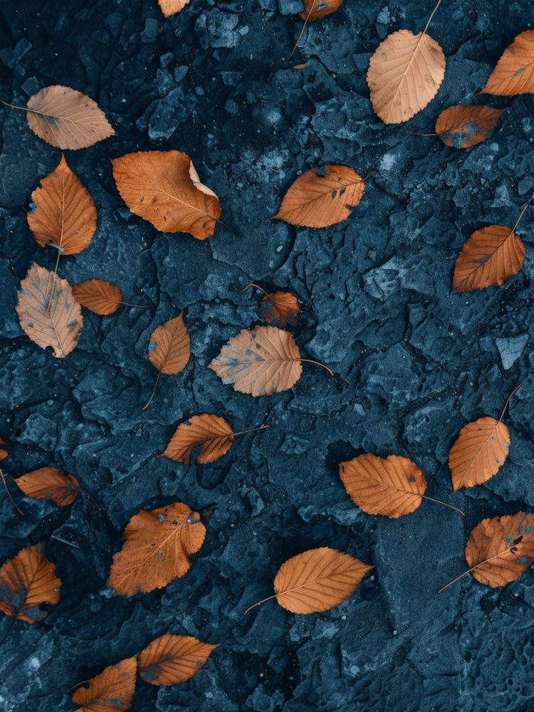 Autumn Leaves On The Ground 1