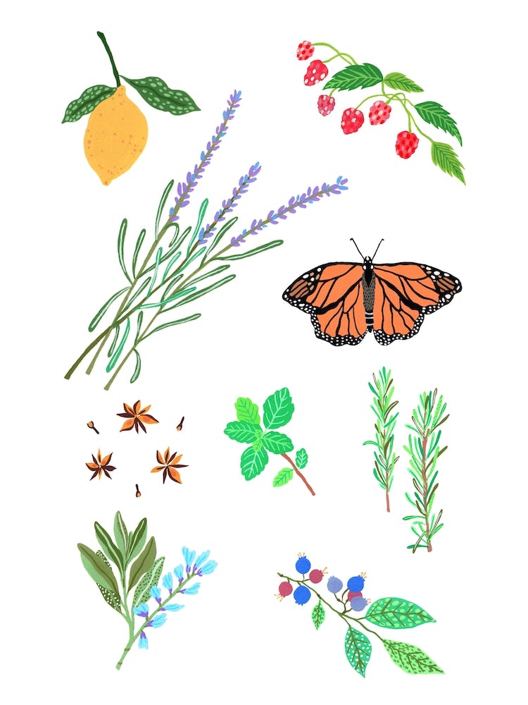 Herbal Gardern