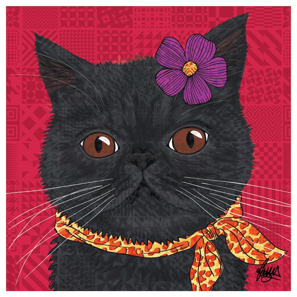 Ciccio, Exotic Shorthair noir carré