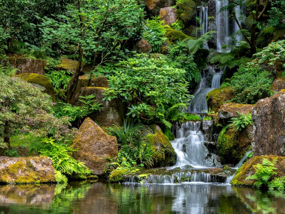 Japanese Waterfall