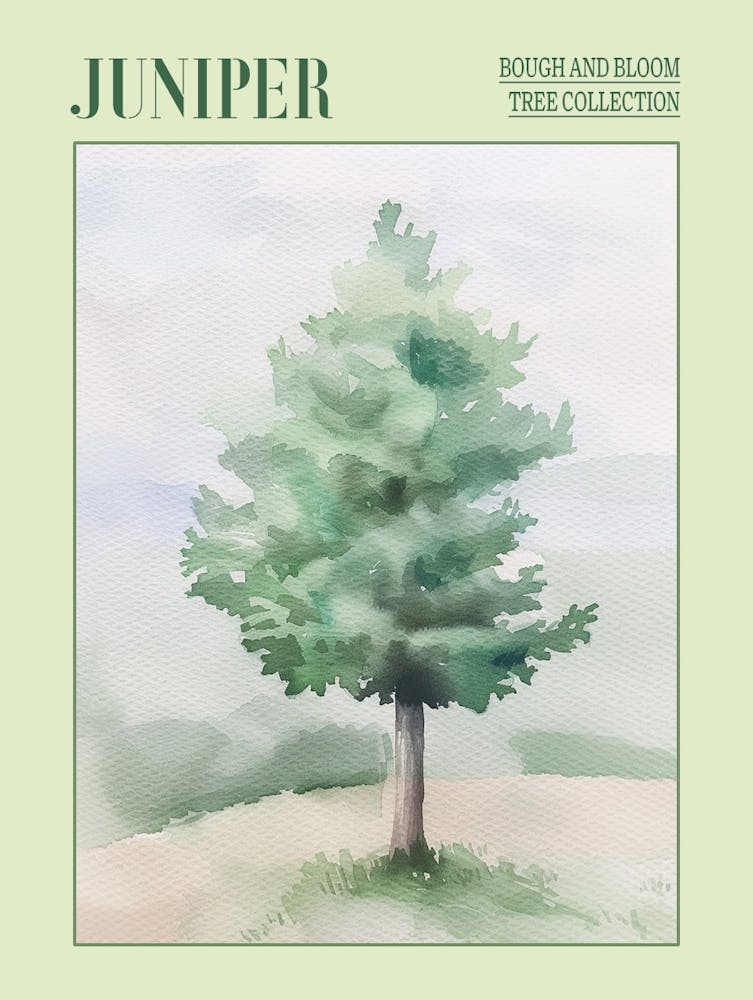 Juniper Tree Atmospheric Watercolour Painting 1 Poster