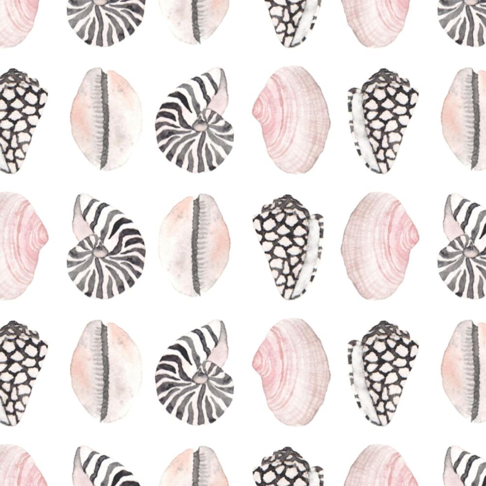 Seashell Pattern2