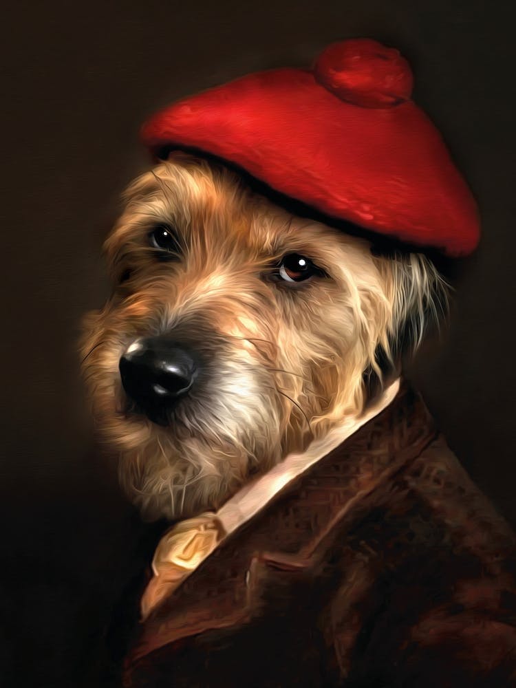 Feisty Jelle Pet Portraits