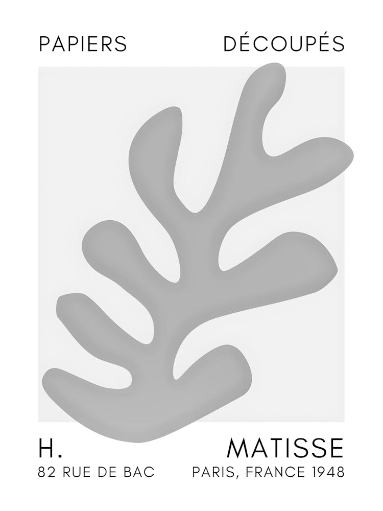 Matisse 24