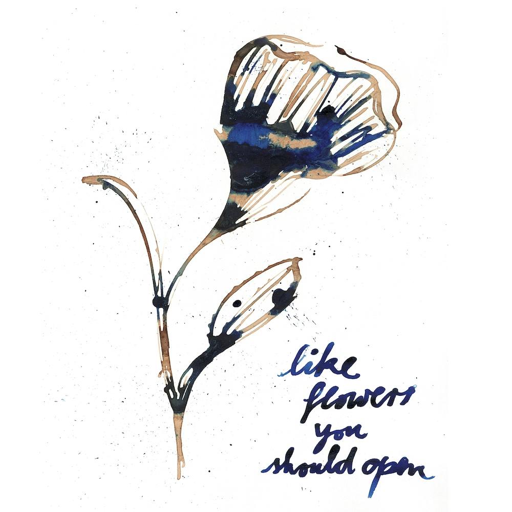 Like Flowers You Should Open 2