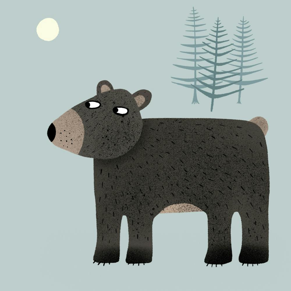 Bear Trees Moon