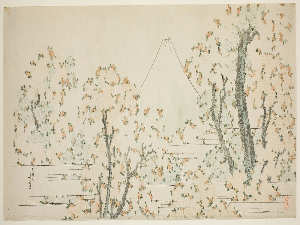 Fuji And Cherry Blossom, Katsushika Hokusai
