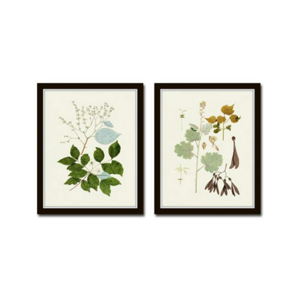Botanical Set