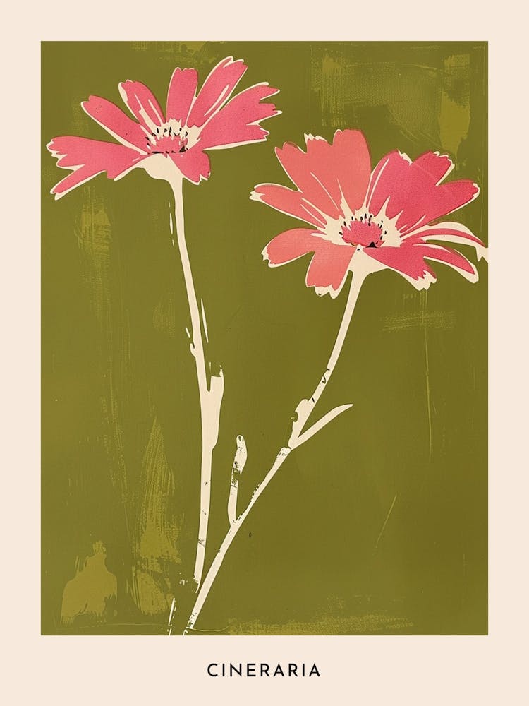 Pink & Green Cineraria 1 Flower Poster