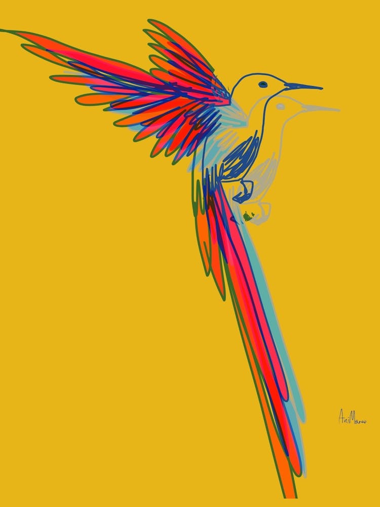 Hummingbird006