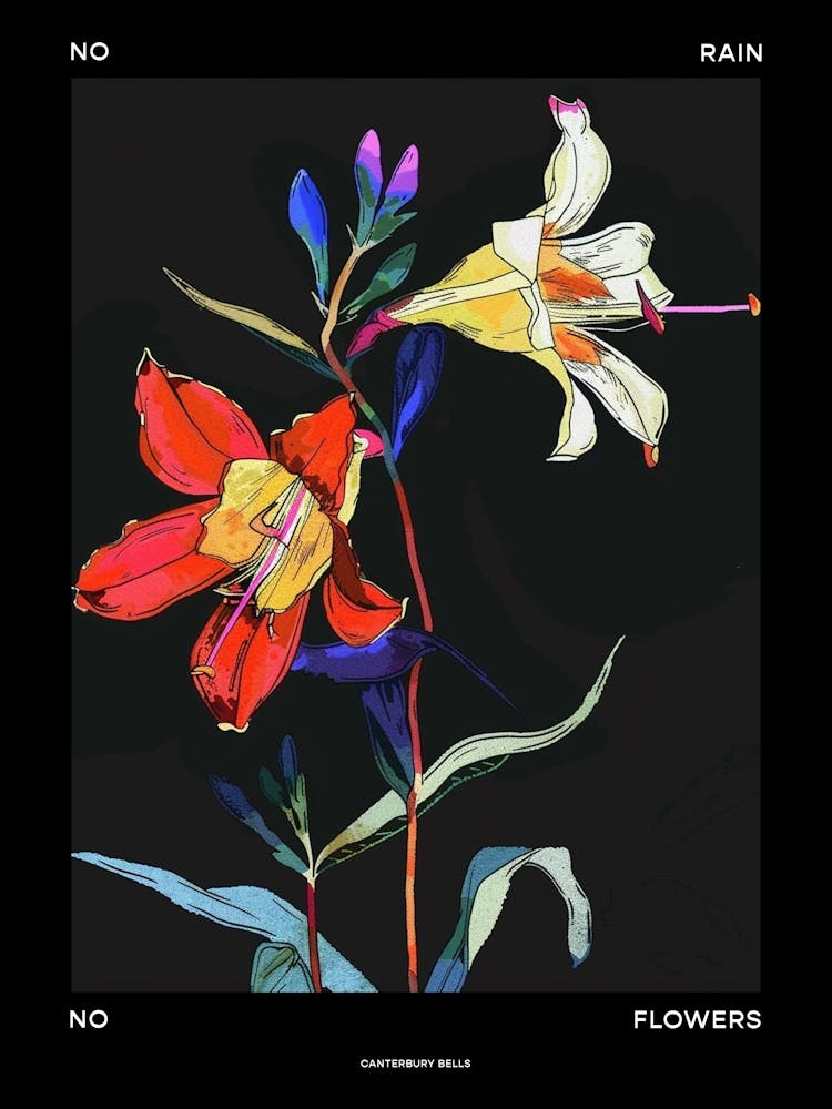No Rain No Flowers Poster Canterbury Bells 4