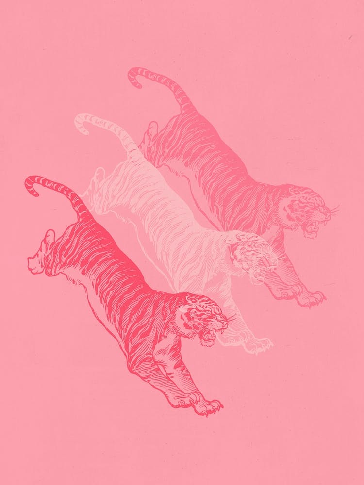 Retro Aesthetic Pink Tiger Art