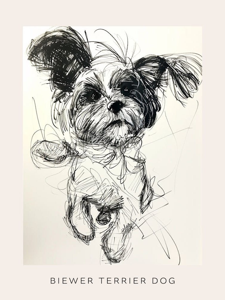 Biewer Terrier Dog Line Sketch Poster